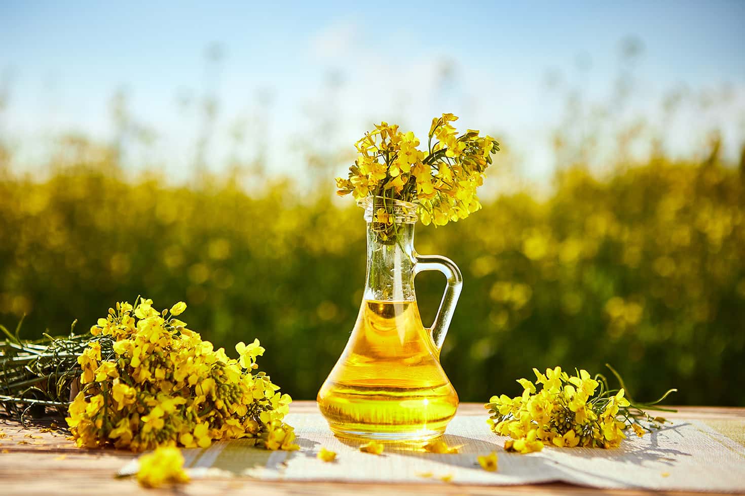 Rapeseed